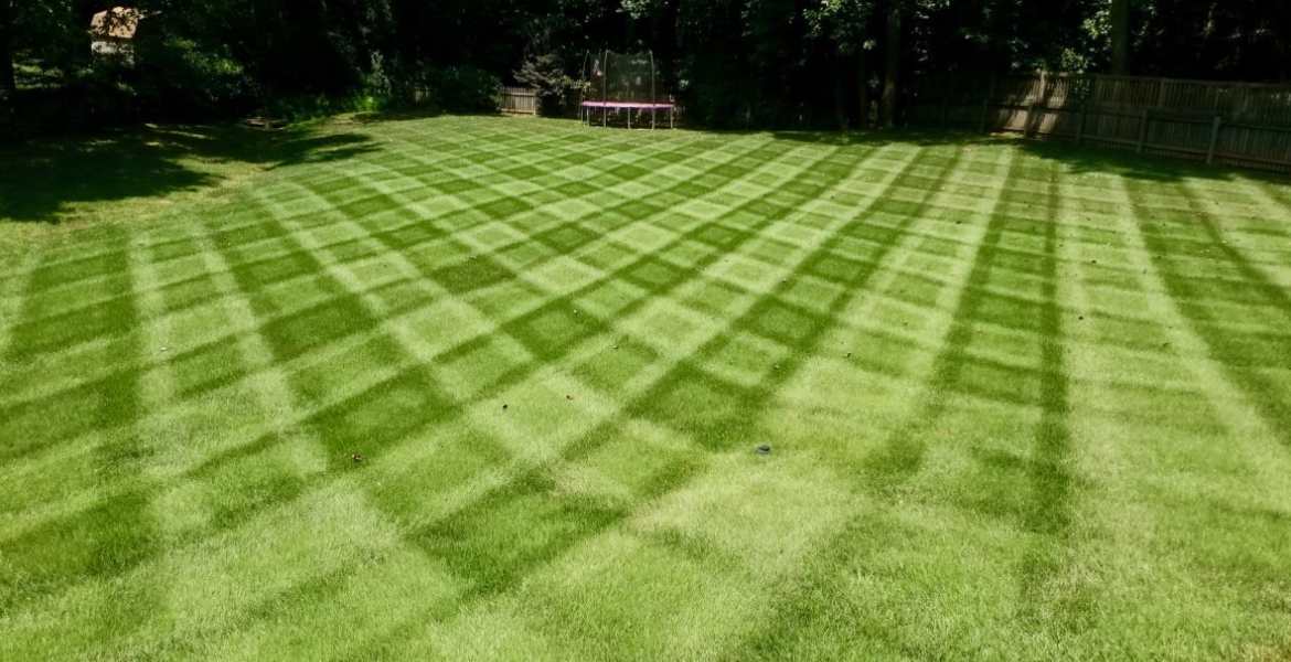 T&B Lawn Care