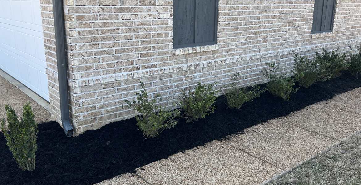 T&B Lawn Care