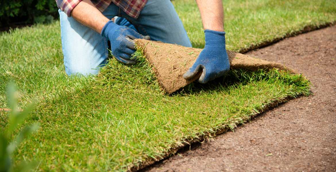 T&B Lawn Care